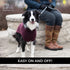 Shedrow K9 Brentwood Cable Knit Dog Sweater Plus M Wine Tasting - Poudre Pet & Feed Supply 4